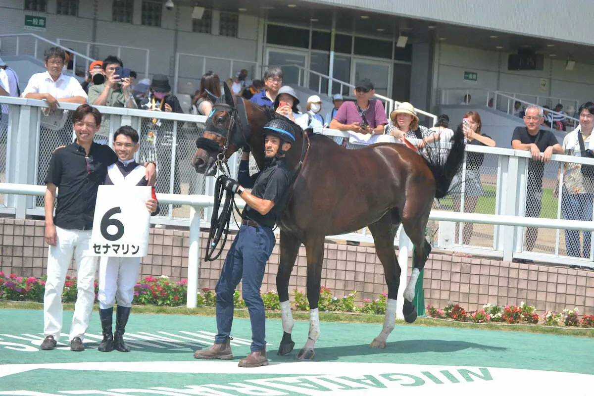 新潟6R・2歳新馬戦を快勝したセナマリン。安田師（左）と戸崎は肩を組んで笑顔（撮影・小田　哲也）