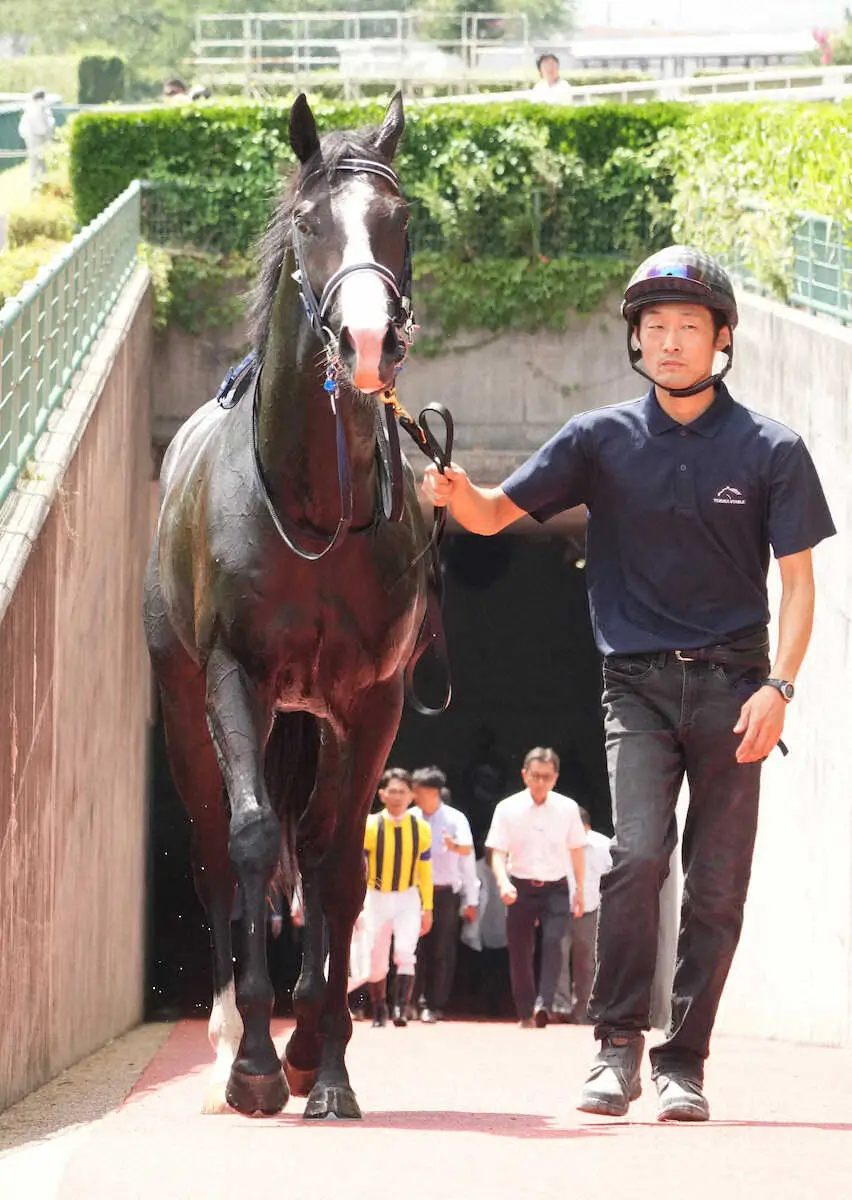 【新潟5R新馬】1番人気マスカレードボールが大外一気の差し切りV　半姉に重賞2勝マスクトディーヴァ