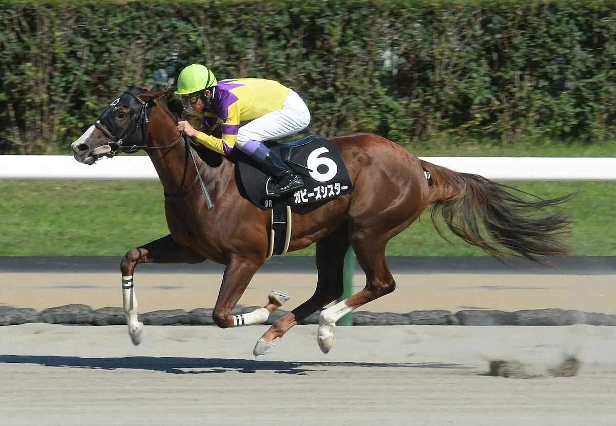 ガビーズシスターで勝った武豊騎手　（撮影・千葉　茂）　　　