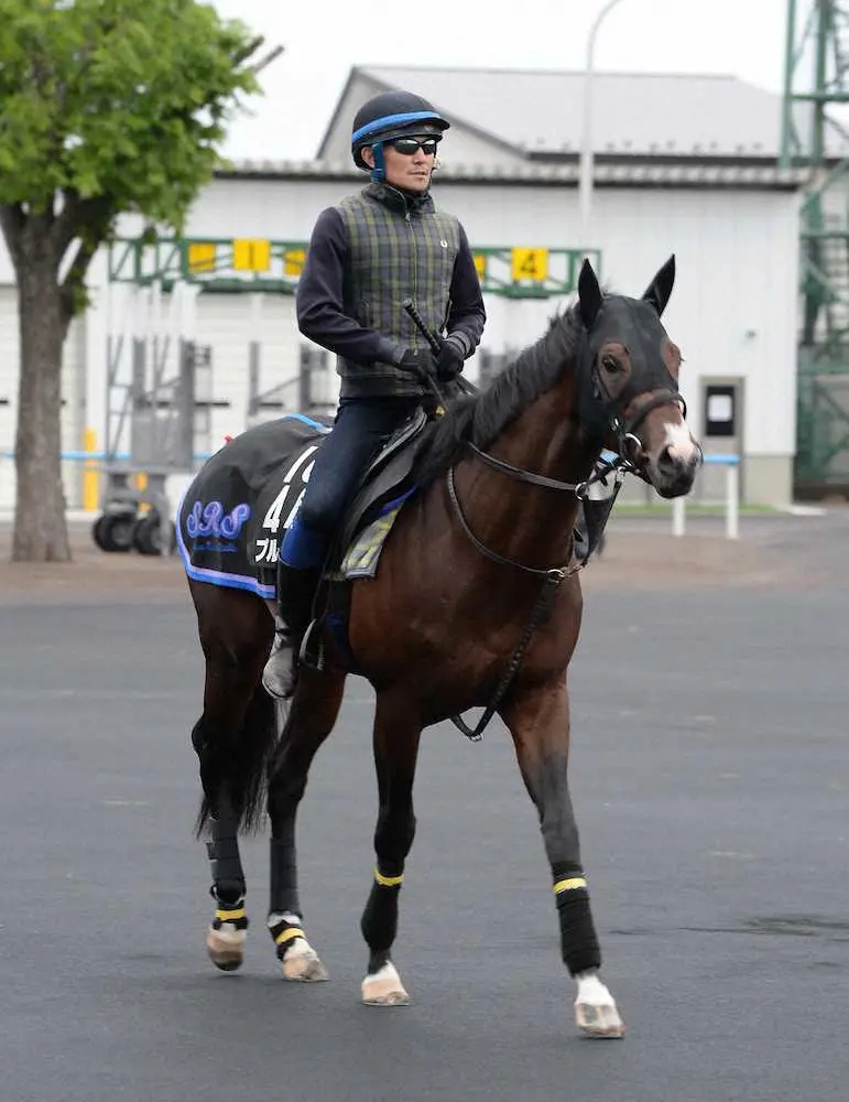 【札幌11R】武豊のプルパレイが復活V!　1日4勝の荒稼ぎに、須貝師「さすが豊ちゃん」