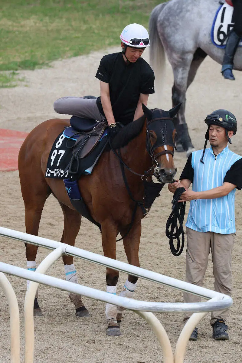 【CBC賞　展望】3歳牝馬ピューロマジックが重賞3連勝へ　アグリ、ジャスティンスカイ軽視は危険だ