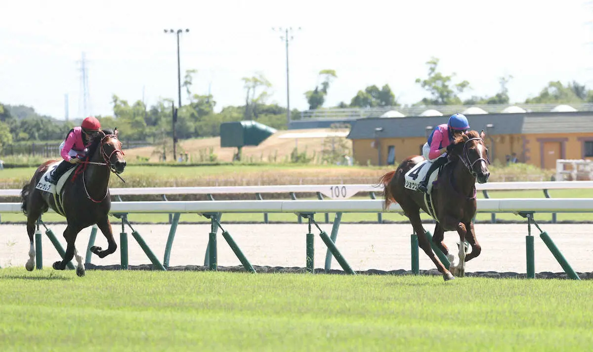 【中京1R・2歳未勝利】3番人気メイショウツヨキがV　坂井「初戦より反応も良かったです」