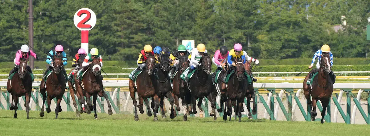 ＜関屋記念＞レースを制したトゥードジボン（右端）（撮影・郡司　修）