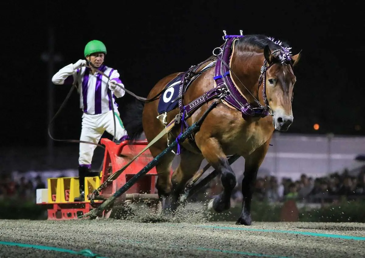 【ばんえい競馬　ばんえいグランプリ】メムロボブサップ4連覇　坂本東師「安心して見ていられた」