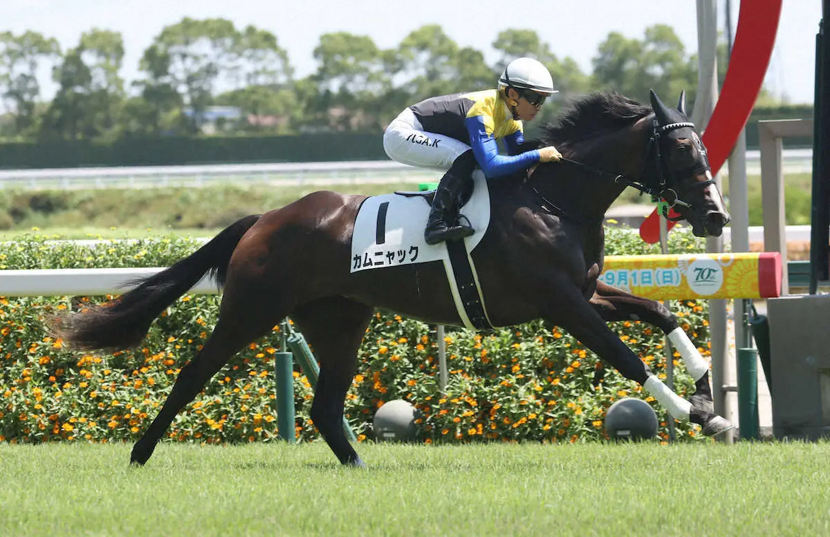 直線で後続を突き放すカムニャック（撮影・亀井　直樹）　