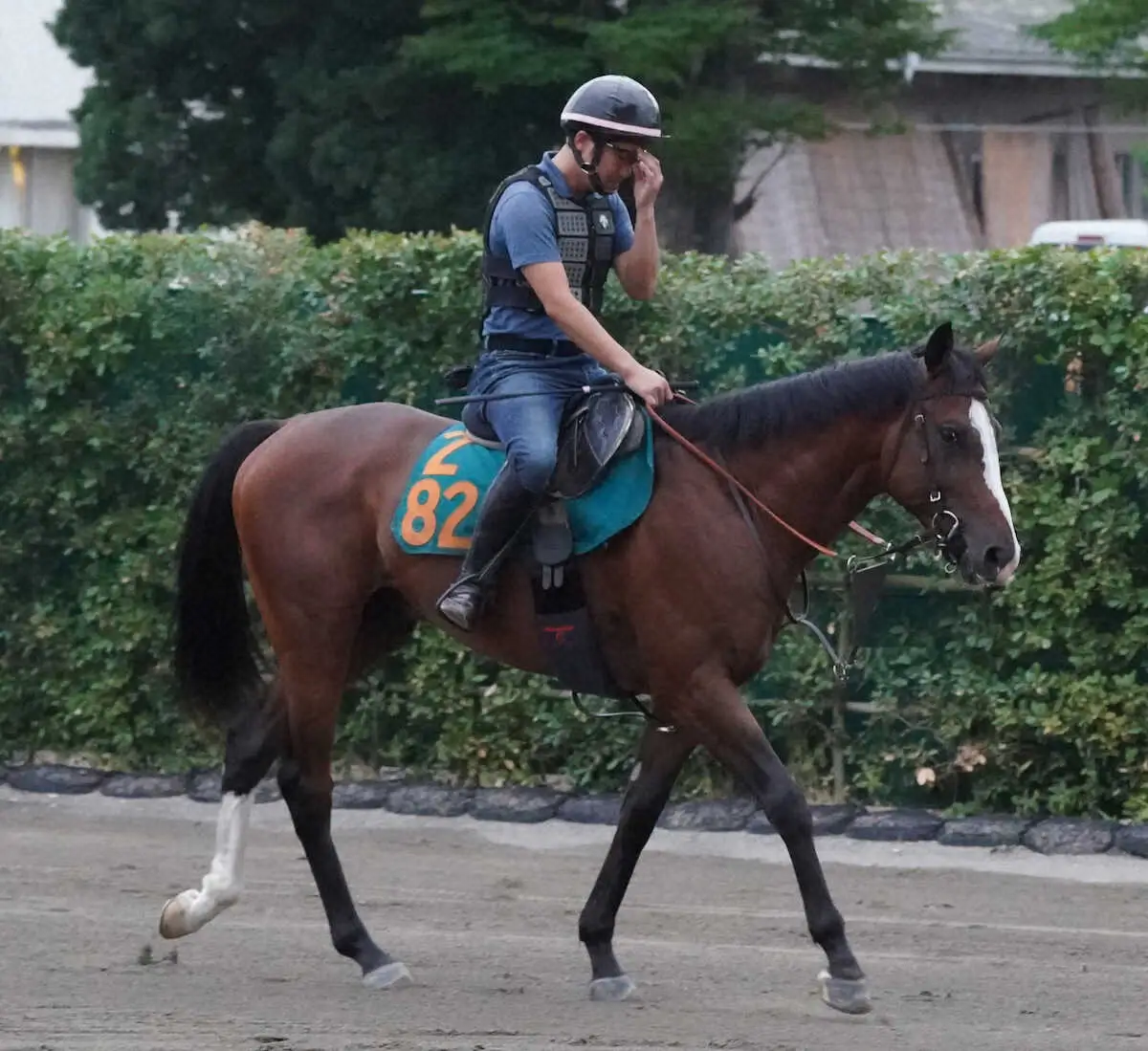 デビューから連勝した母を持つ、チェンジオブハートが今週末、新潟でデビューする