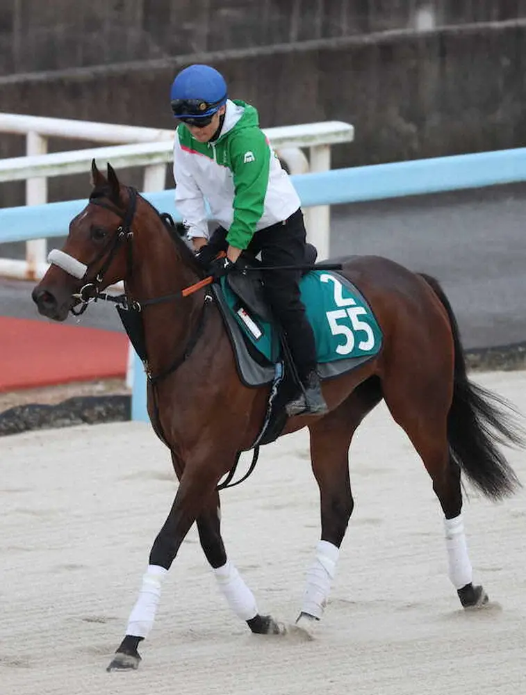 【中京新馬戦】ハリウッドメモリー　兄スマッシュ以上の走りを!陣営期待「仕上がりは早そう」