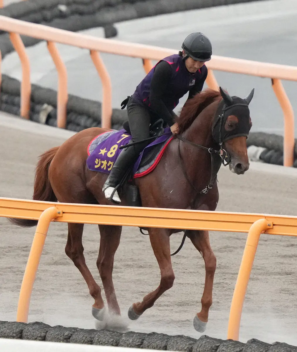 【札幌記念】ジオグリフ　2年ぶり重賞Vへ!陣営期待「週ごとに状態も上がってきてる」