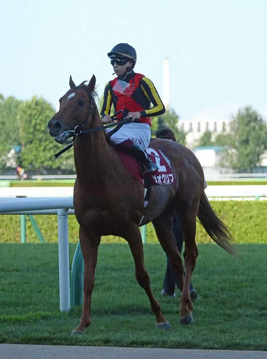 【札幌記念】2着ジオグリフ　皐月賞以来の白星に届かず　横山武「勝ち馬の方が余力があった」