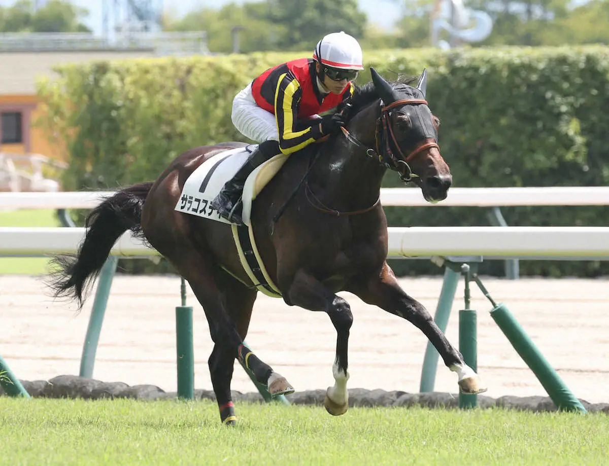 【中京3R】良血サラコスティ9馬身差圧勝　坂井「調教で能力を感じていました」