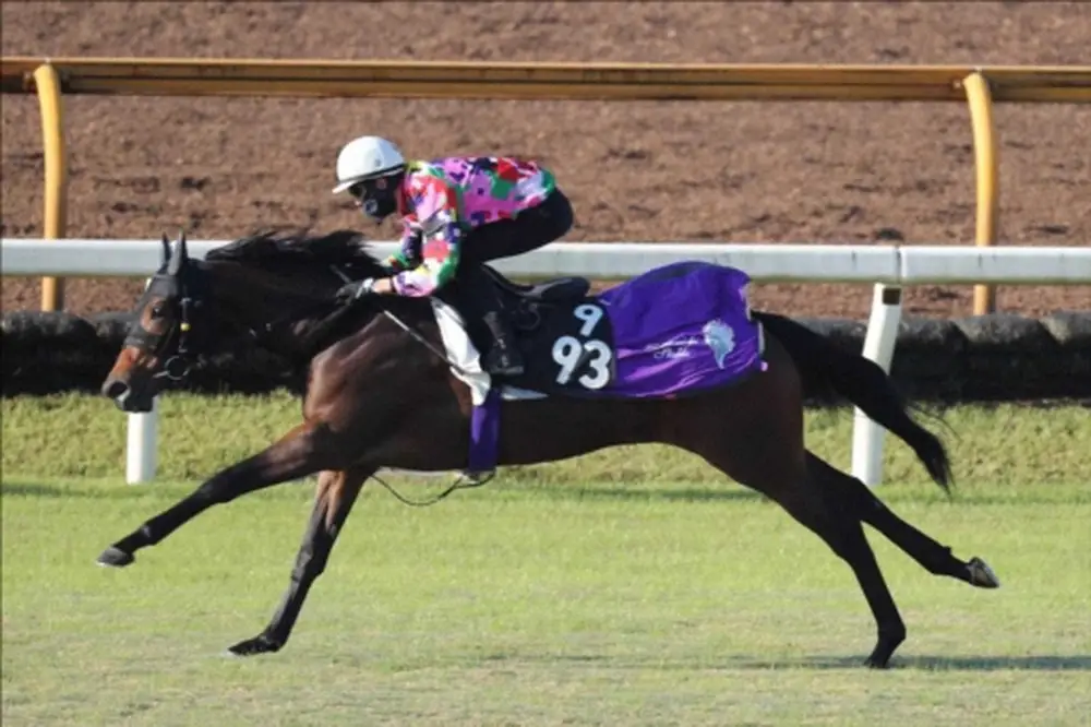 御在所特別1着・フレミングフープはローズS視野　友道師「秋華賞目指したい」