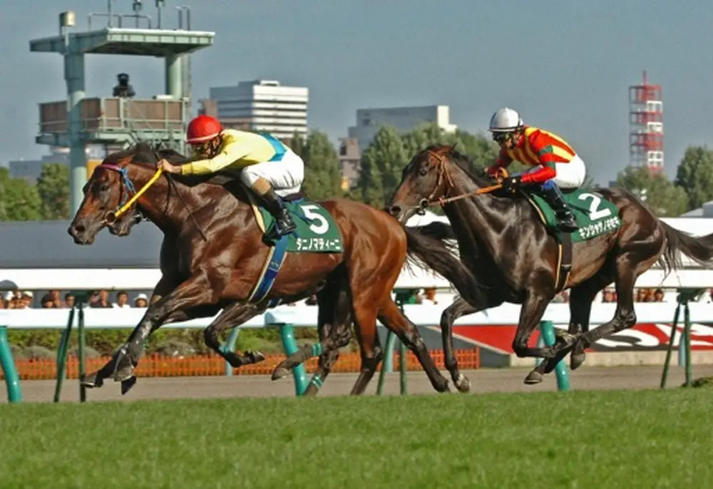 【追憶のキーンランドC】08年タニノマティーニ　最低人気馬が快勝！北海道開催に不可欠の穴馬