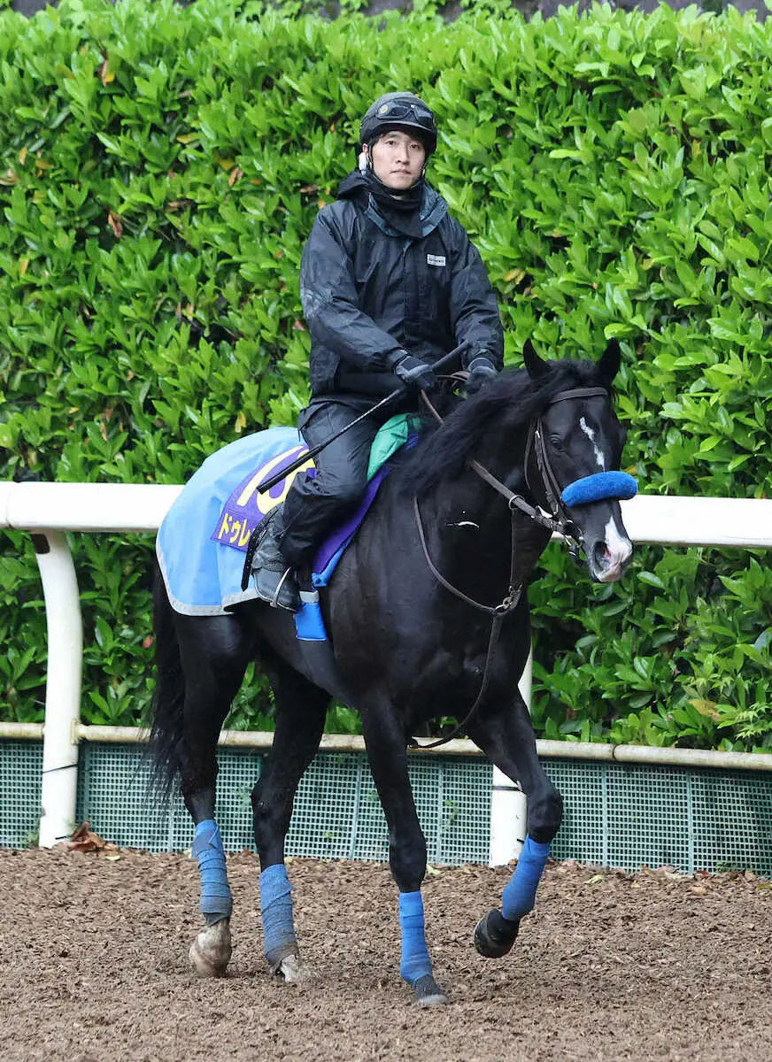 菊花賞馬ドゥレッツァが英遠征から帰国、競馬学校で検疫へ…秋に備える