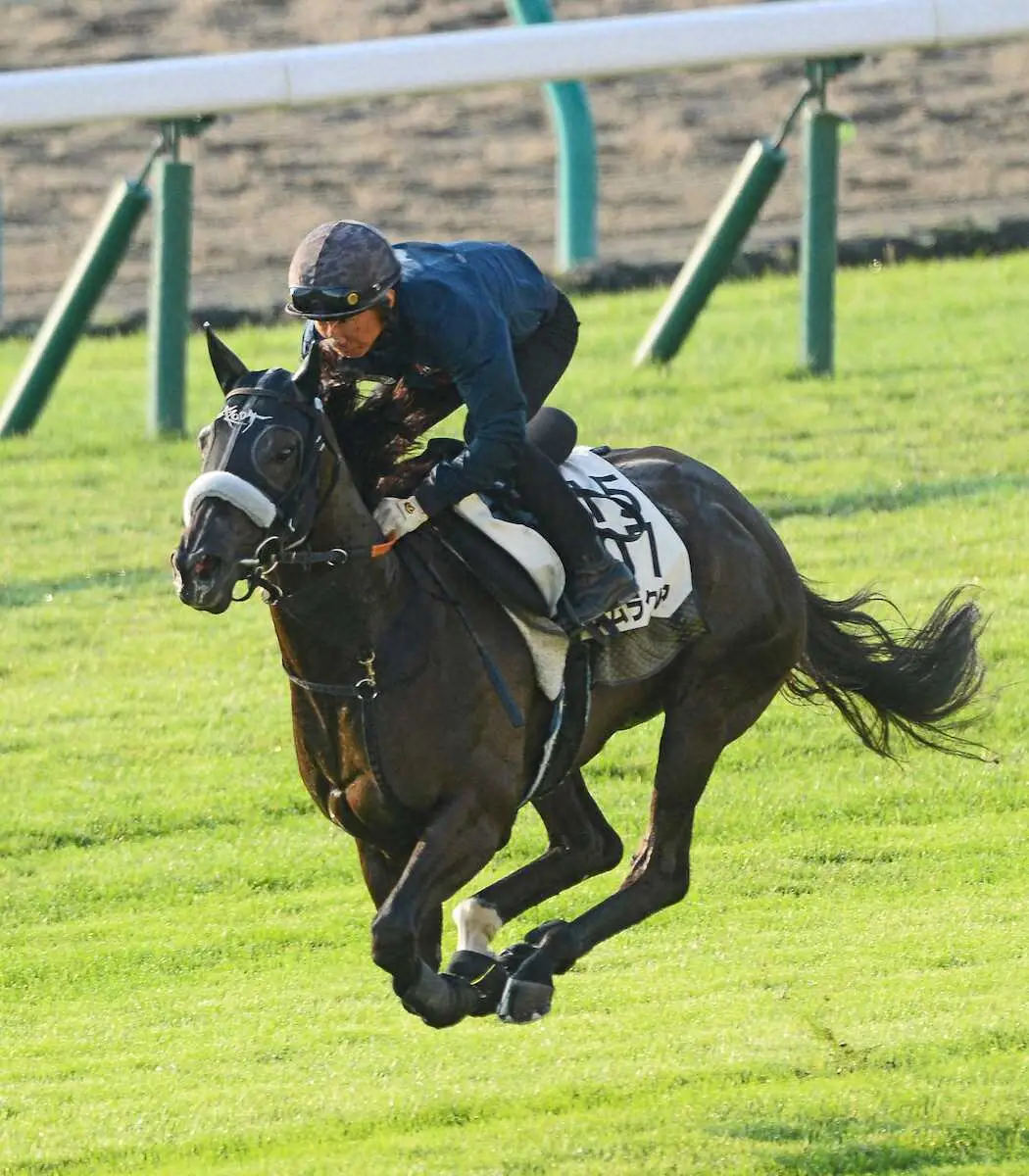 【キーンランドC】ナムラクレア　史上初の連覇へ!昨年超える馬体「さらに柔らかみが増している」