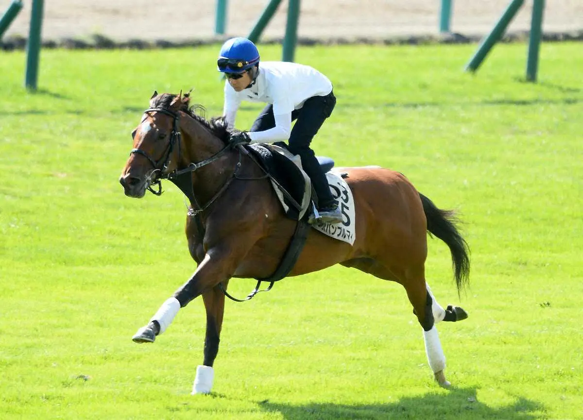 【キーンランドC】オオバンブルマイ　武豊が好感触!　芝単走で11秒7「反応良かった」