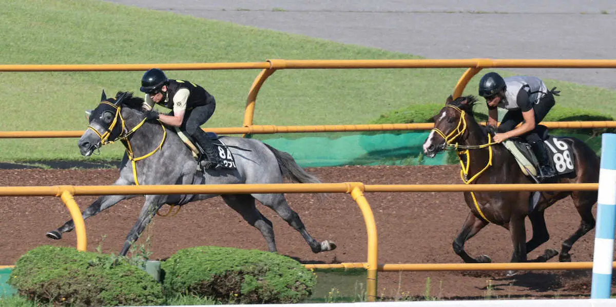 【キーンランドC】エトヴプレ　3馬身突き放した!　1F12秒3に藤岡師は納得「筋肉量が増えました」