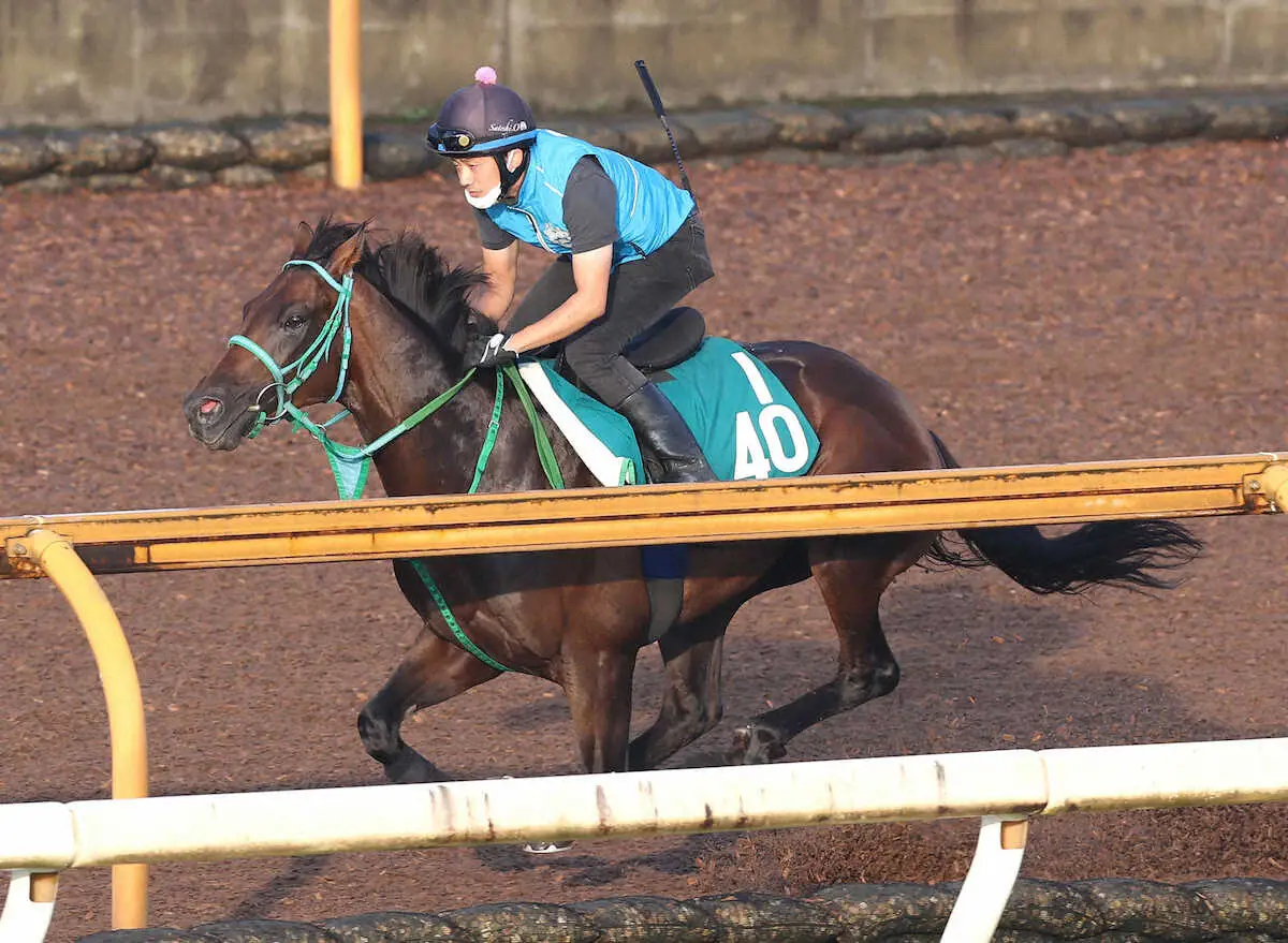 【新潟2歳S】トータルクラリティ　重馬場のCW単走で11秒9　池添師「伸び伸びとダイナミックな動き」