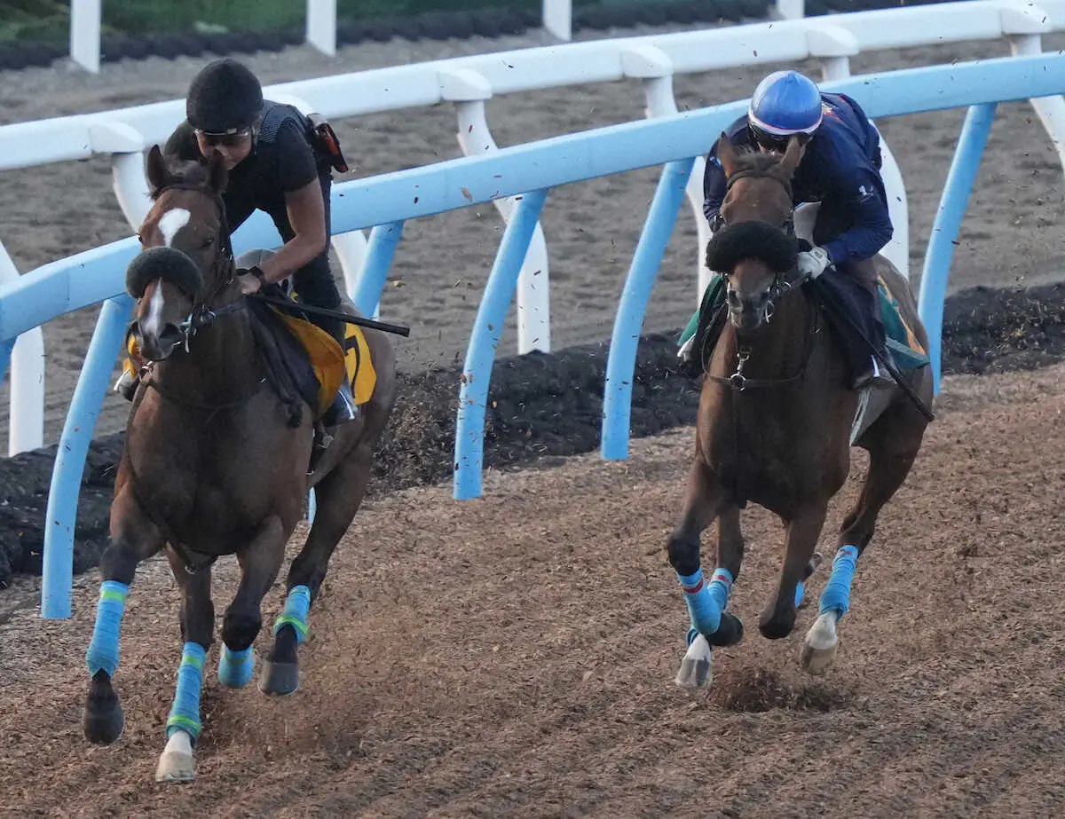 【新潟2歳S】キタノクニカラ　馬なり内から併入　杉原「1週前よりも力強さ増した」