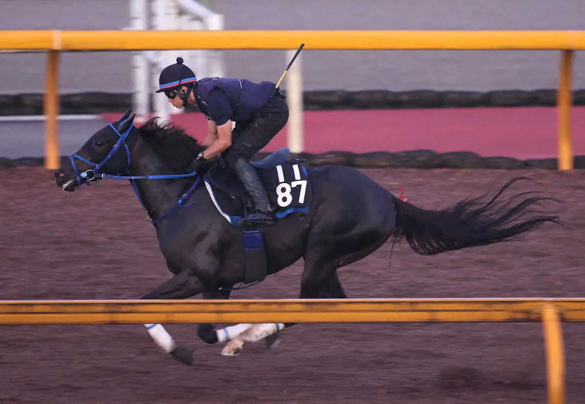 【新潟記念　展望】2冠戦で好走した3歳牝馬ライトバックに注目