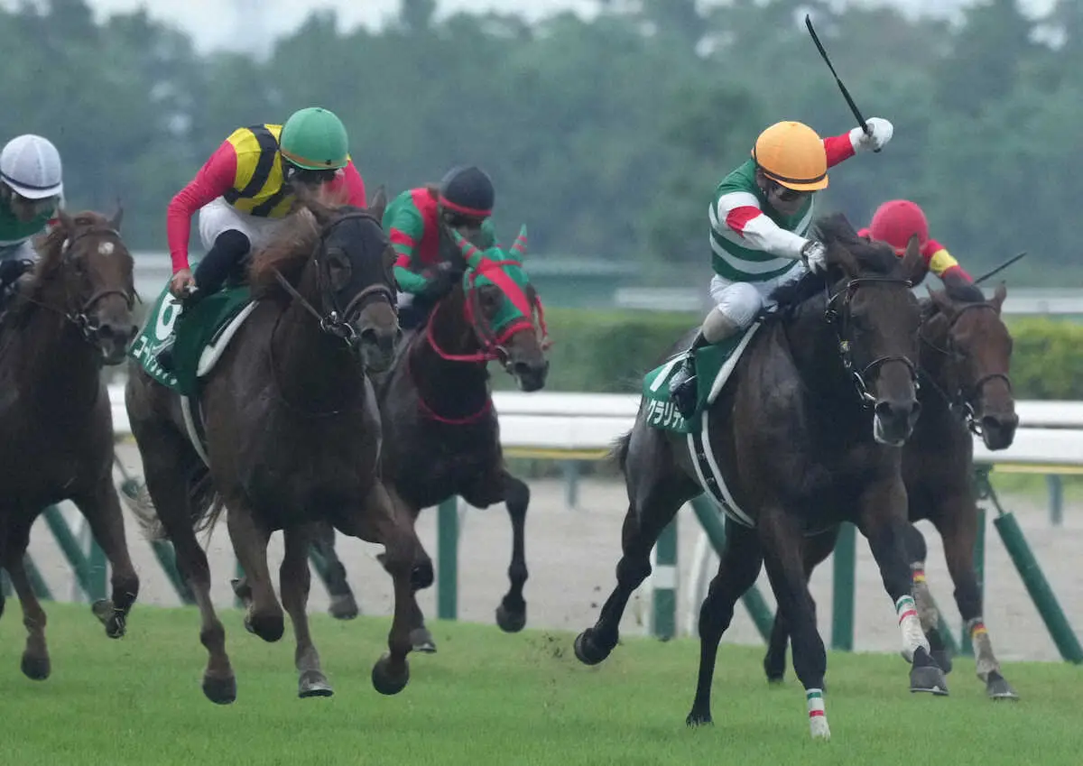 【新潟2歳S】トータルクラリティ　ド根性V!デビュー2連勝に北村友「もっと活躍できる」