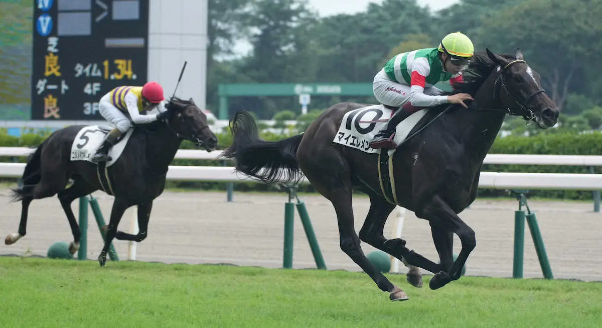 【新潟新馬戦】マイエレメント　課題残すも快勝!福永師「いい素材なので大事に育てたい」