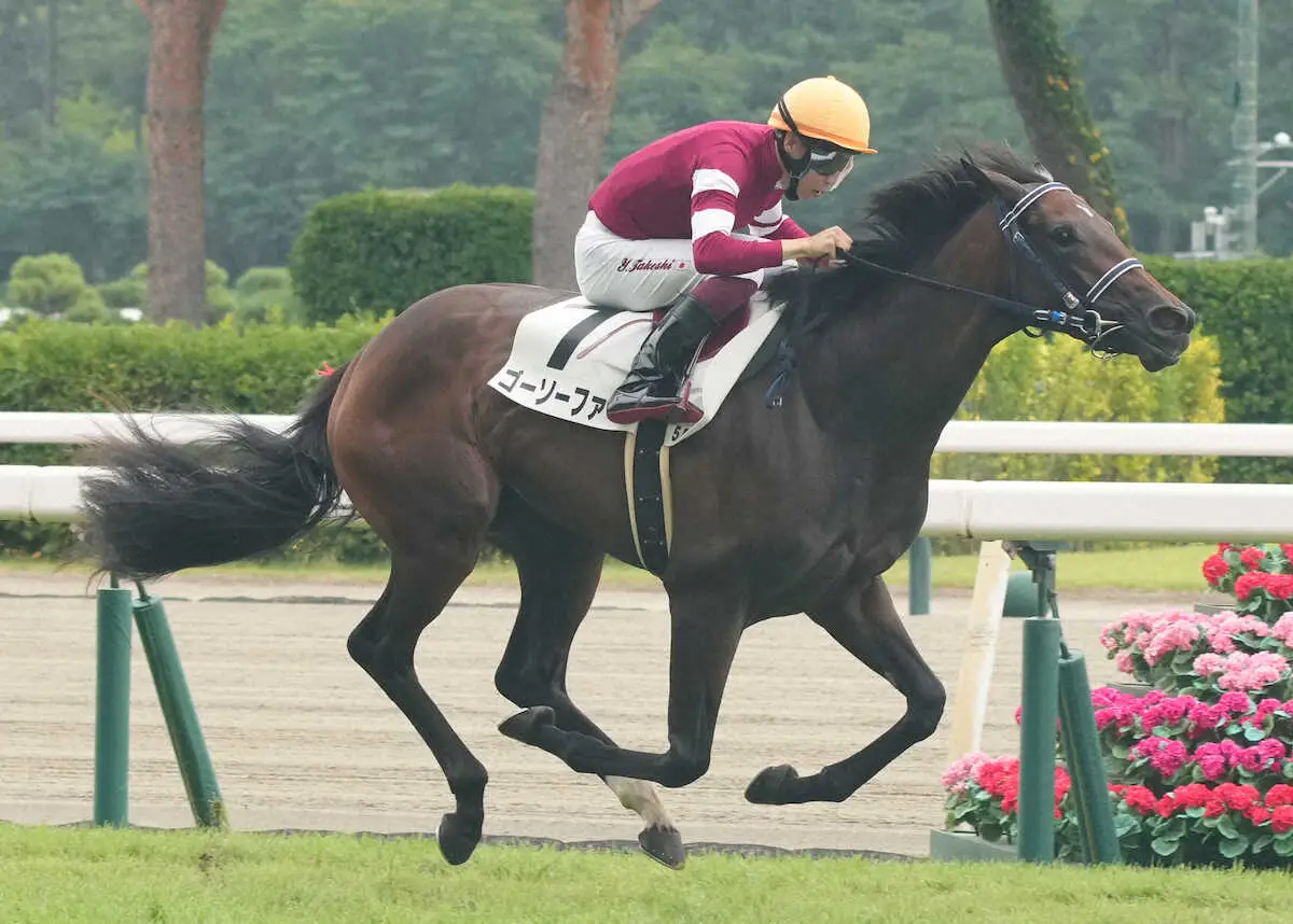 【新潟新馬戦】ゴーソーファー快勝　直線引き離した!手塚師は将来性を評価「楽しみ」