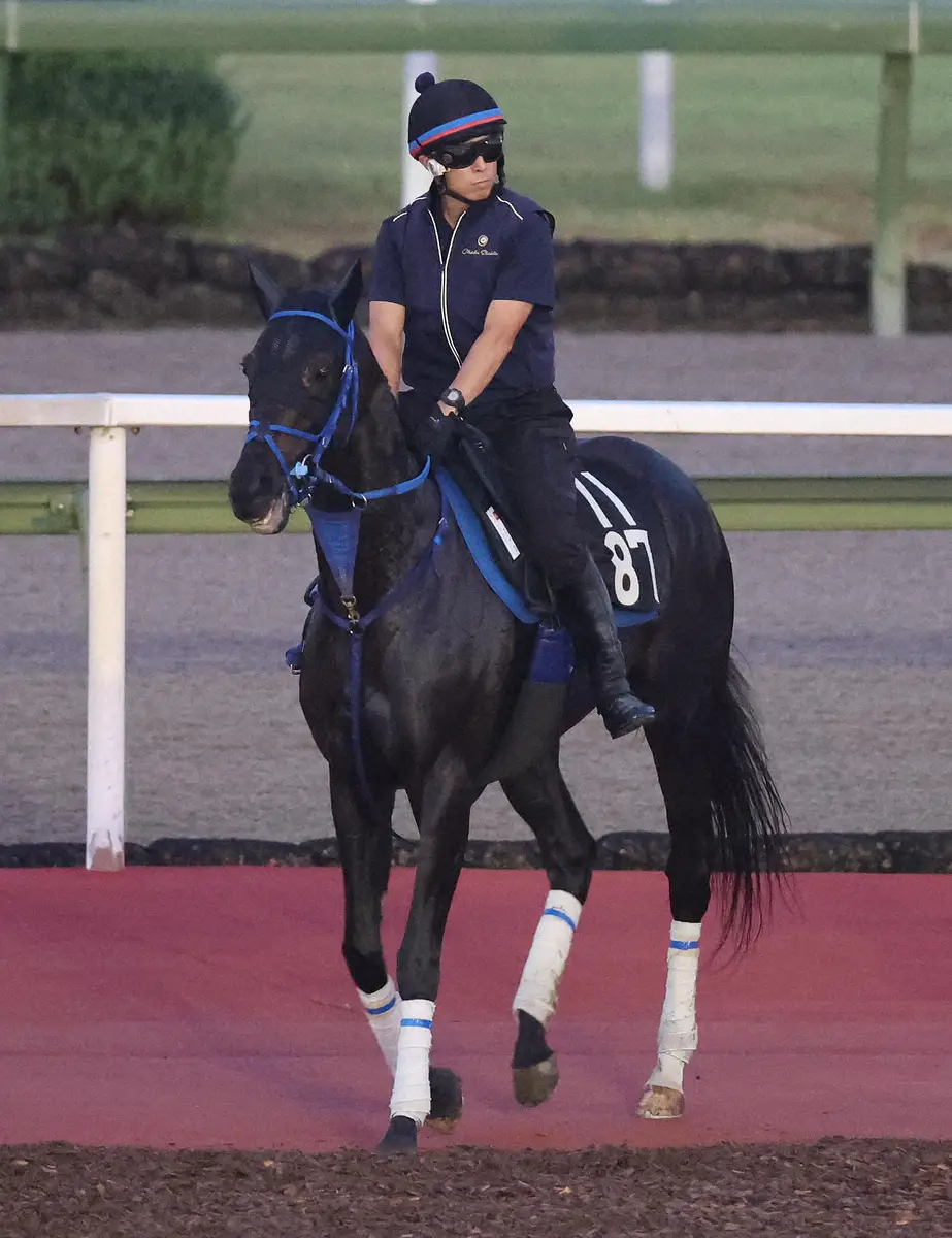 【新潟記念】ライトバック　末脚さく裂だ!　実績上位3歳牝馬が重賞初V目指す