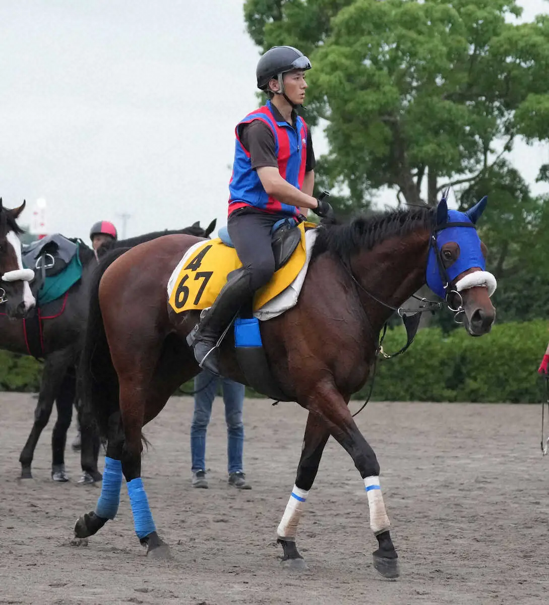 【新潟記念】キングズパレス　新潟二千は合う、松岡「動きは良かった」