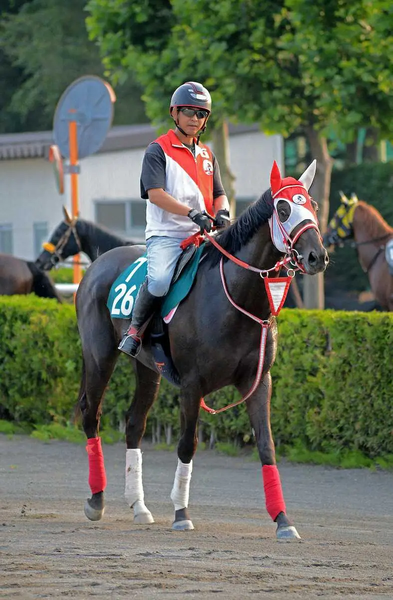 【札幌2歳S】キングスコールに名馬の相あり！デビュー戦で圧巻の強さ見せたドゥラメンテ産駒