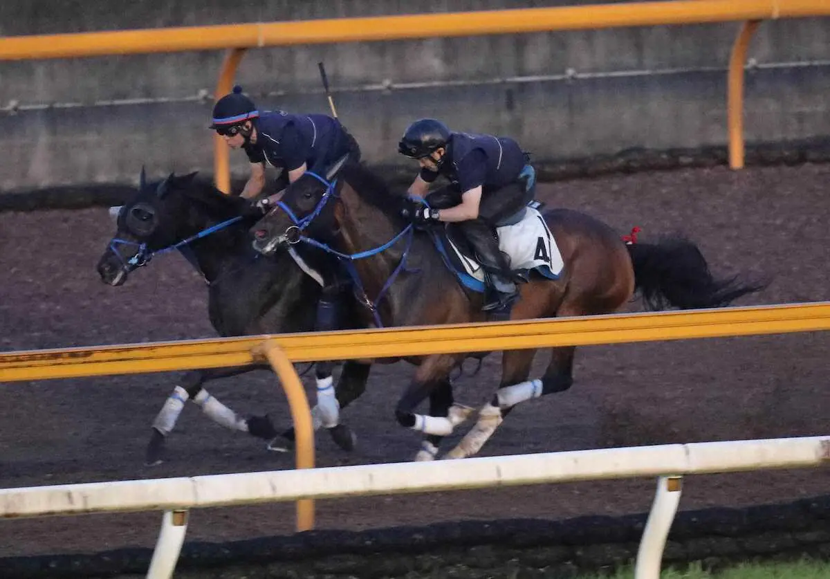 【新潟記念】3歳牝馬ライトバック実りの秋へ加速！CW併走ラスト伸びて半馬身先着