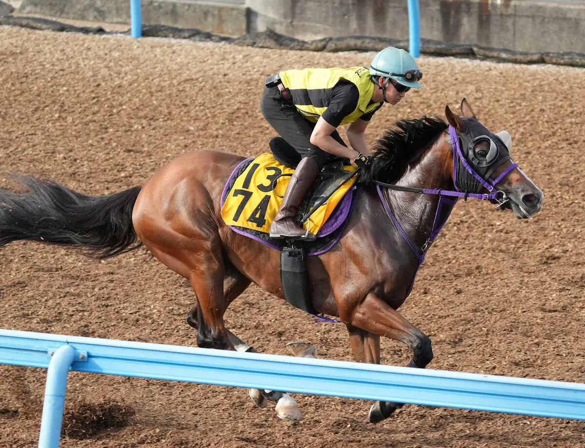 【新潟記念】バラジ　内から楽々併入、鹿戸師「前受けで後ろに突かれる形がいいかな」