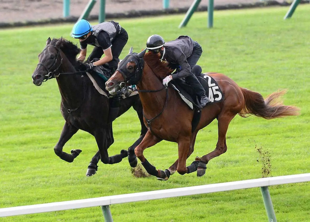 【札幌2歳S】マジックサンズ軽快！須貝師「新馬の時とはエンジンのかかり方が全然違います」