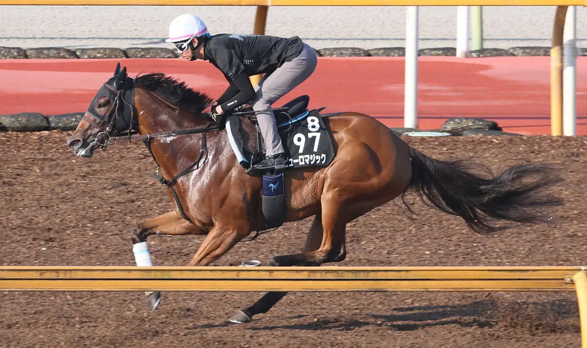 【セントウルS】ピューロマジック　連勝の勢い継続、安田師「ケアとトレーニングでレースに臨めます」