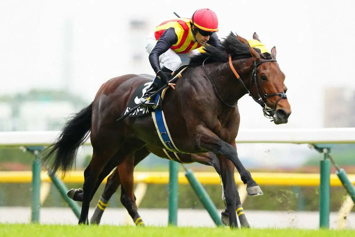 屈腱炎で休養していたドゥラドーレス、オクトーバーSで1年4カ月ぶり復帰へ　22年菊花賞4着