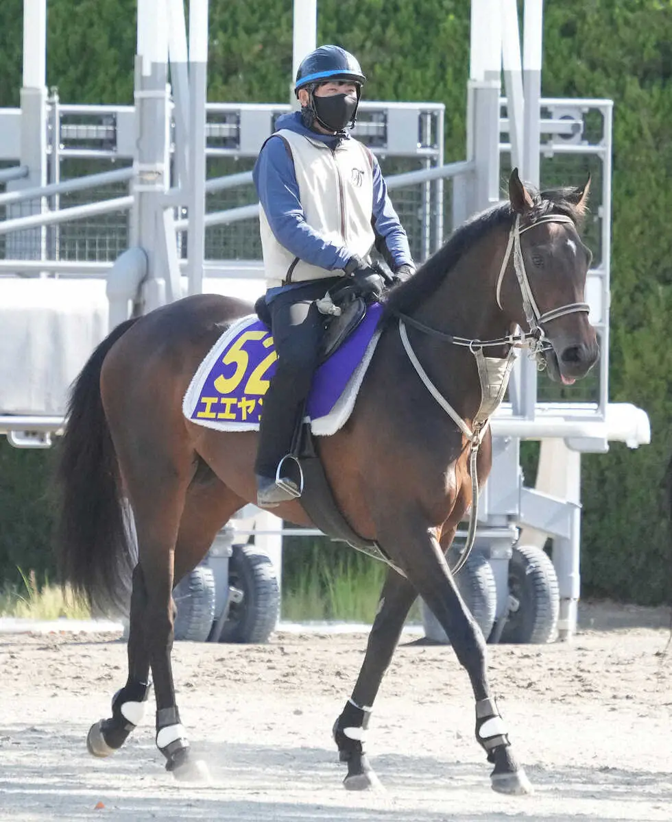 【京成杯AH】エエヤン　中山マイルで能力全開！小細工なしの真っ向勝負で押し切る