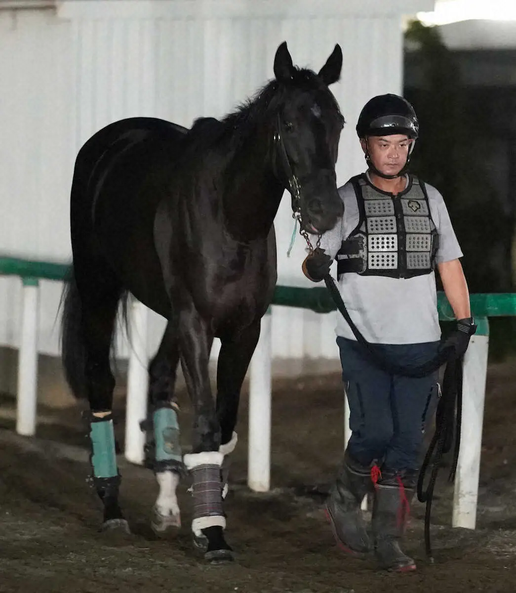 【中山新馬戦】良血シホリーン　武井師動き絶賛「距離が延びても良さそう」