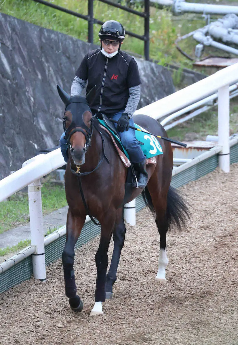 【中京新馬戦】エスタア　期待のソダシ弟、須貝師「初戦から走れると思う」