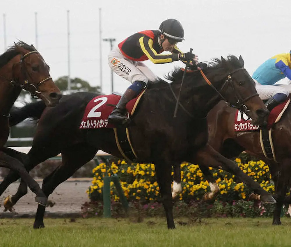 重賞2勝馬ヴェルトライゼンデ、右前脚の膝裏に熱感　毎日王冠での始動を見送り