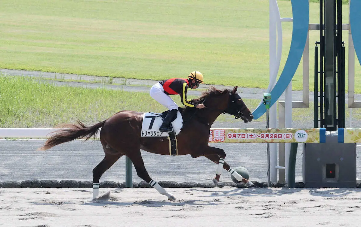 【中京新馬戦】トリポリタニア　派手な勝ちっぷり、岩田望「まだ余力がありました」