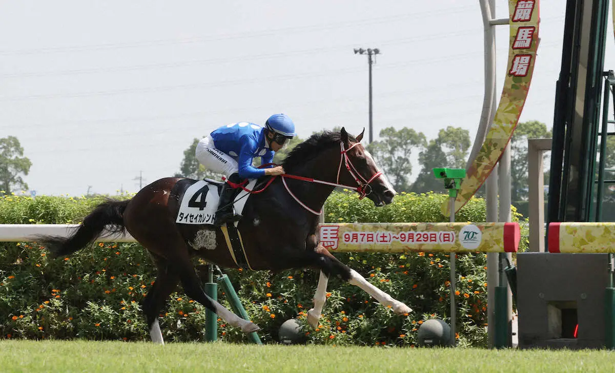 【中京新馬戦】タイセイカレント“優等生”逃げ切り！西村淳「言うことなかったです」