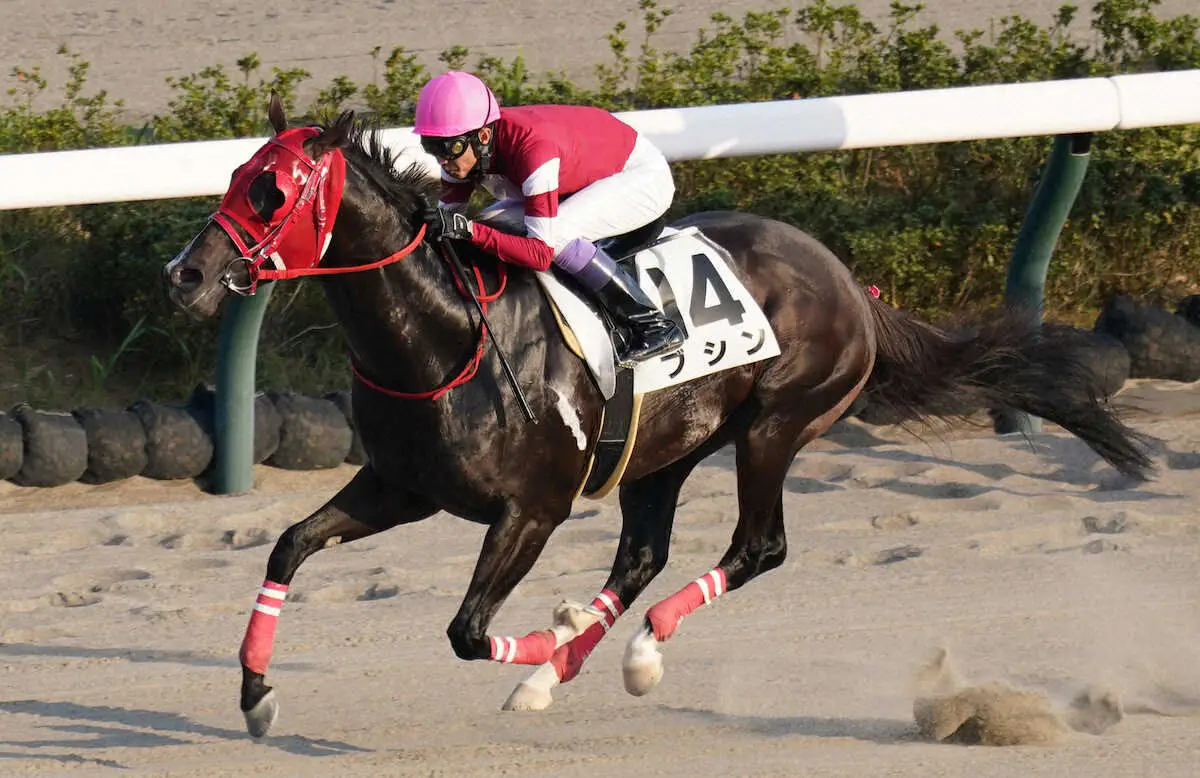 【画像・写真】【中山12R】武豊　一日3勝で今年70勝到達！ブシンVに導く