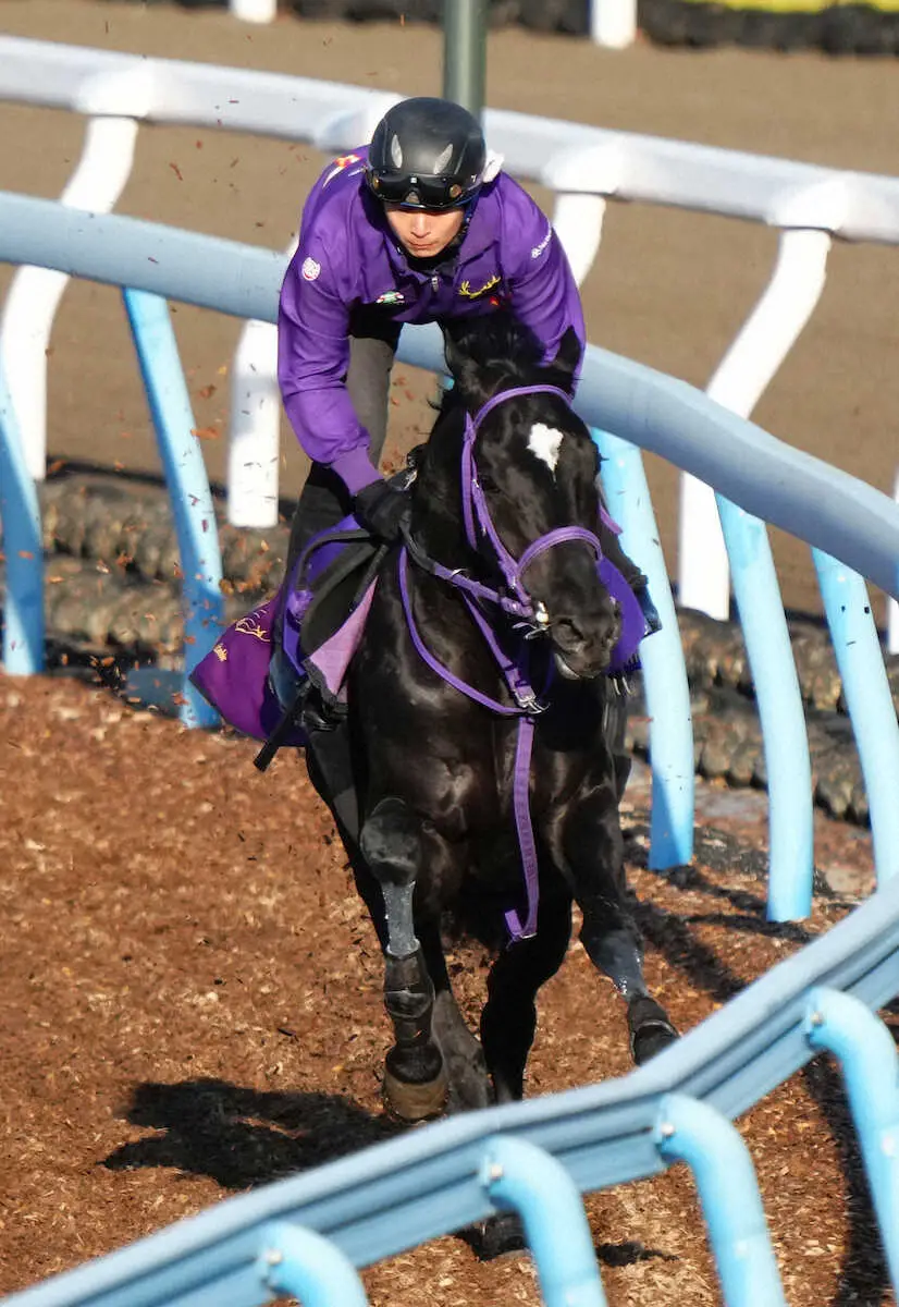 【セントライト記念】ルカランフィースト　いざ開花の秋！藤沢和イズムで“大一番”見送り