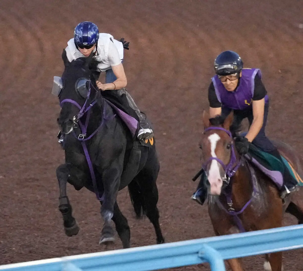 【セントライト記念】ルカランフィースト　馬なりで好時計、鹿戸師「体調に関しては申し分がない」