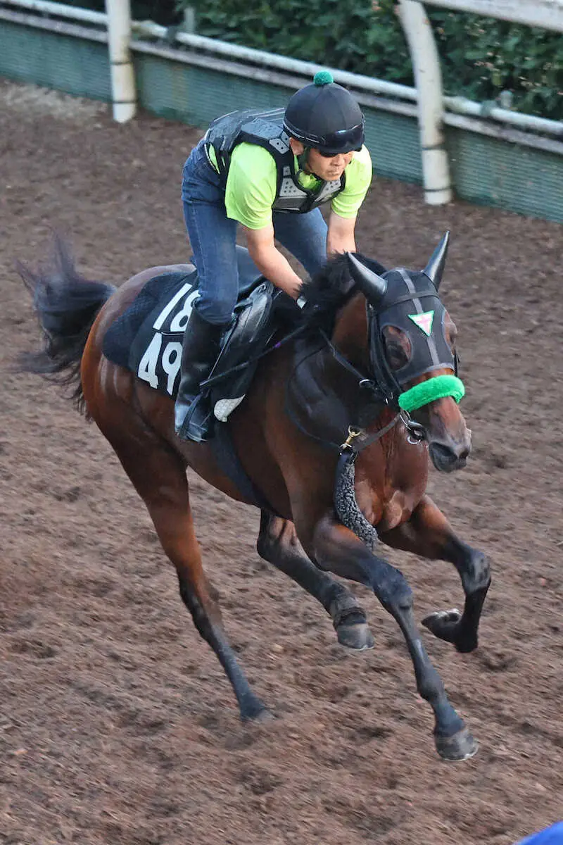 【ローズS】オーロラエックス　集中して走れた、松山「しまいの切れる脚もある」