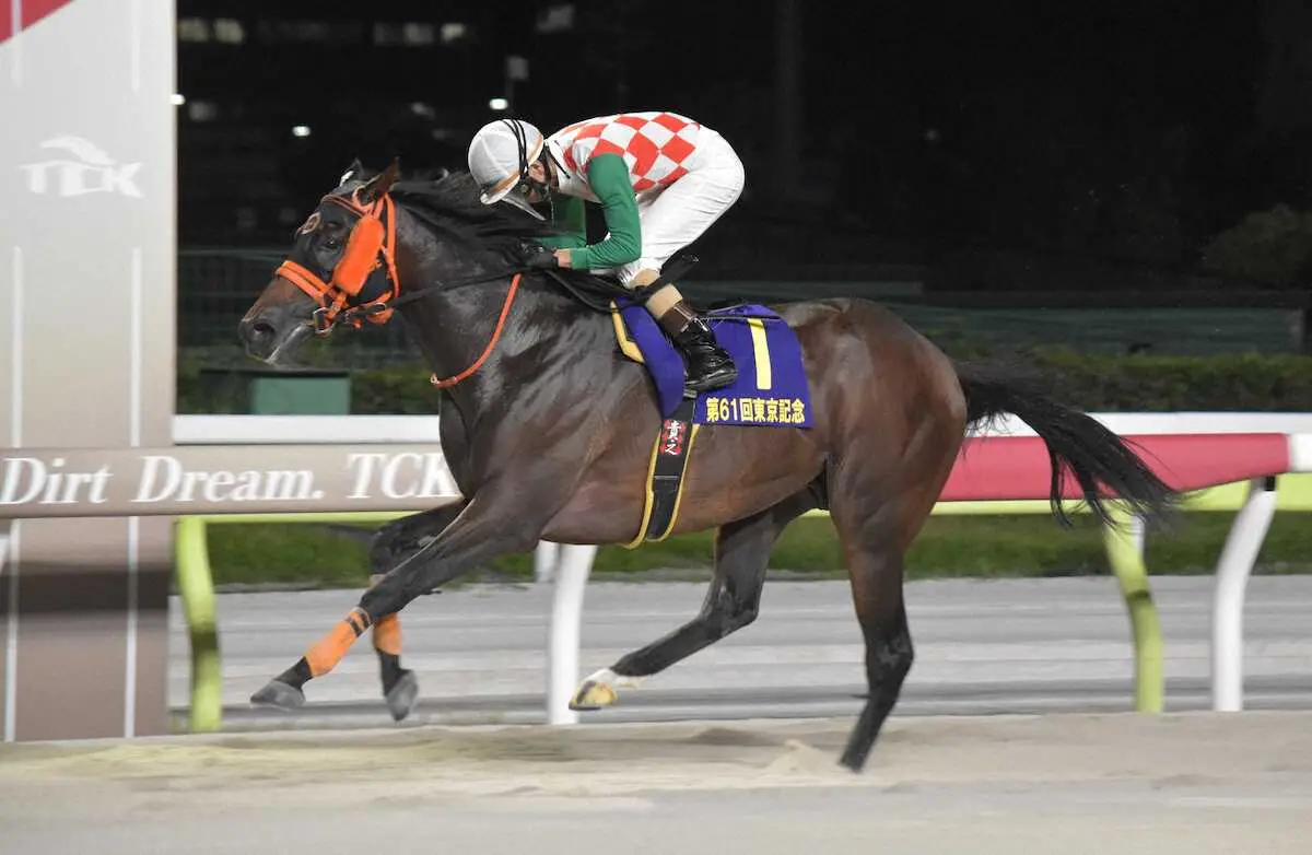 【大井競馬　東京記念】ナッジが伝統の一戦制す　気性面の成長に矢野もにんまり