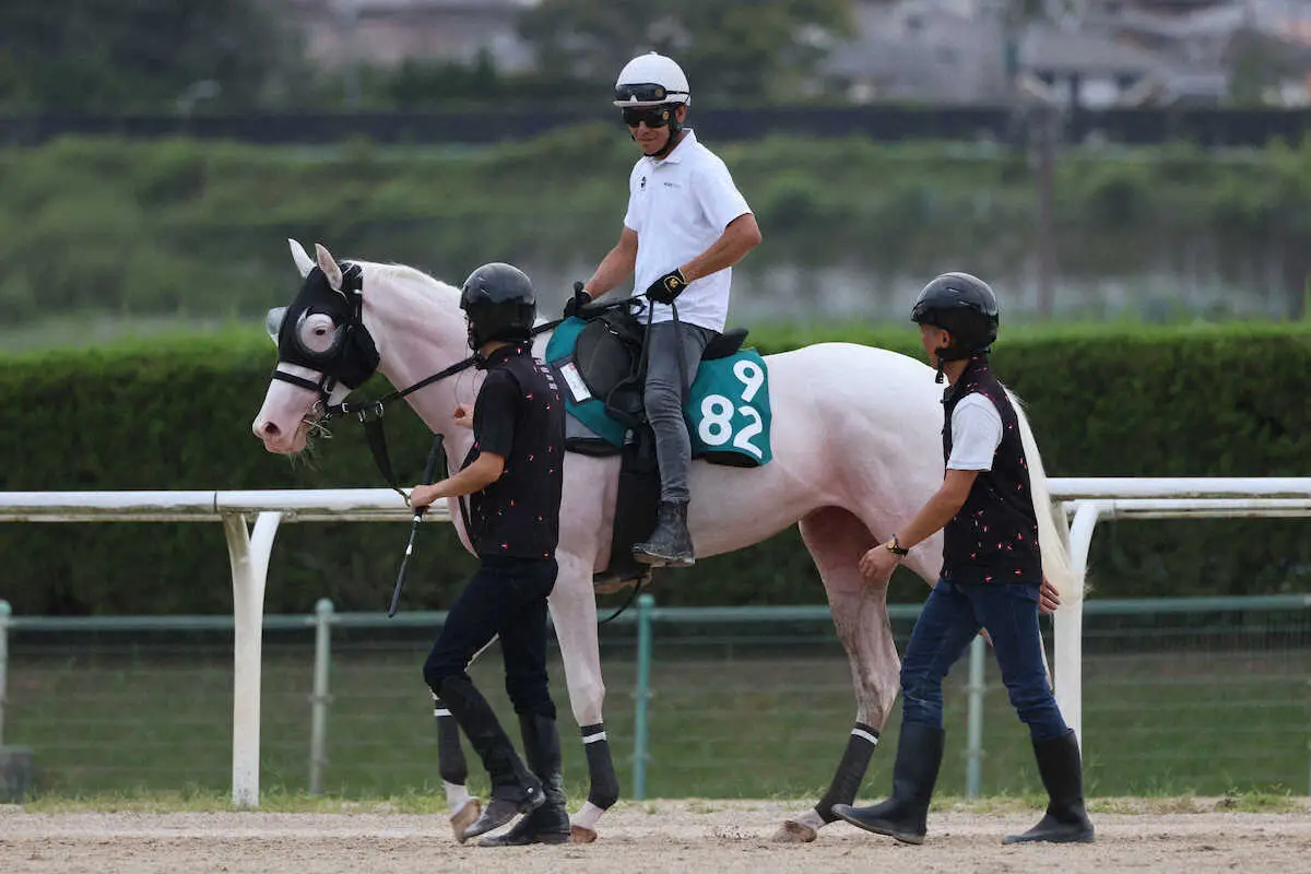 【中京新馬戦】注目白毛ゴージャスが登場　浜中「上手に走って前向きさある」