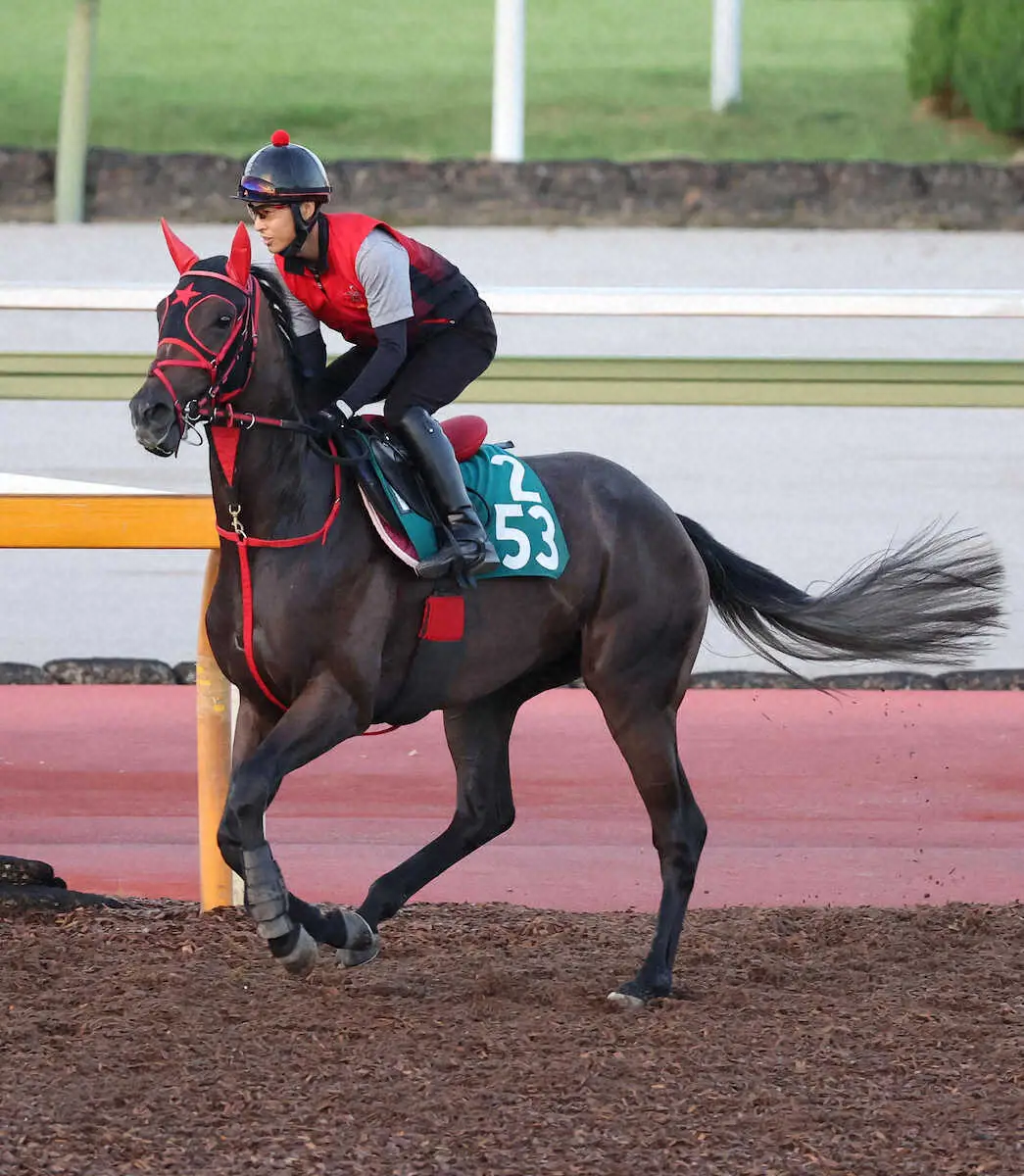 【中京新馬戦】良血スルーザナイト手応え十分　西園翔師「スピード感のある走り」