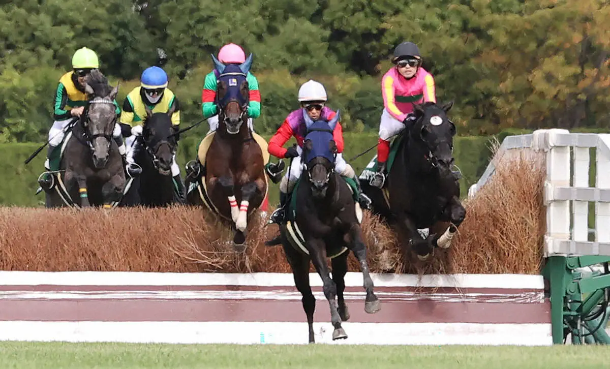 【阪神ジャンプS】サペラヴィ　障害重賞初V!　江田勇「最後まで踏ん張ってくれた」