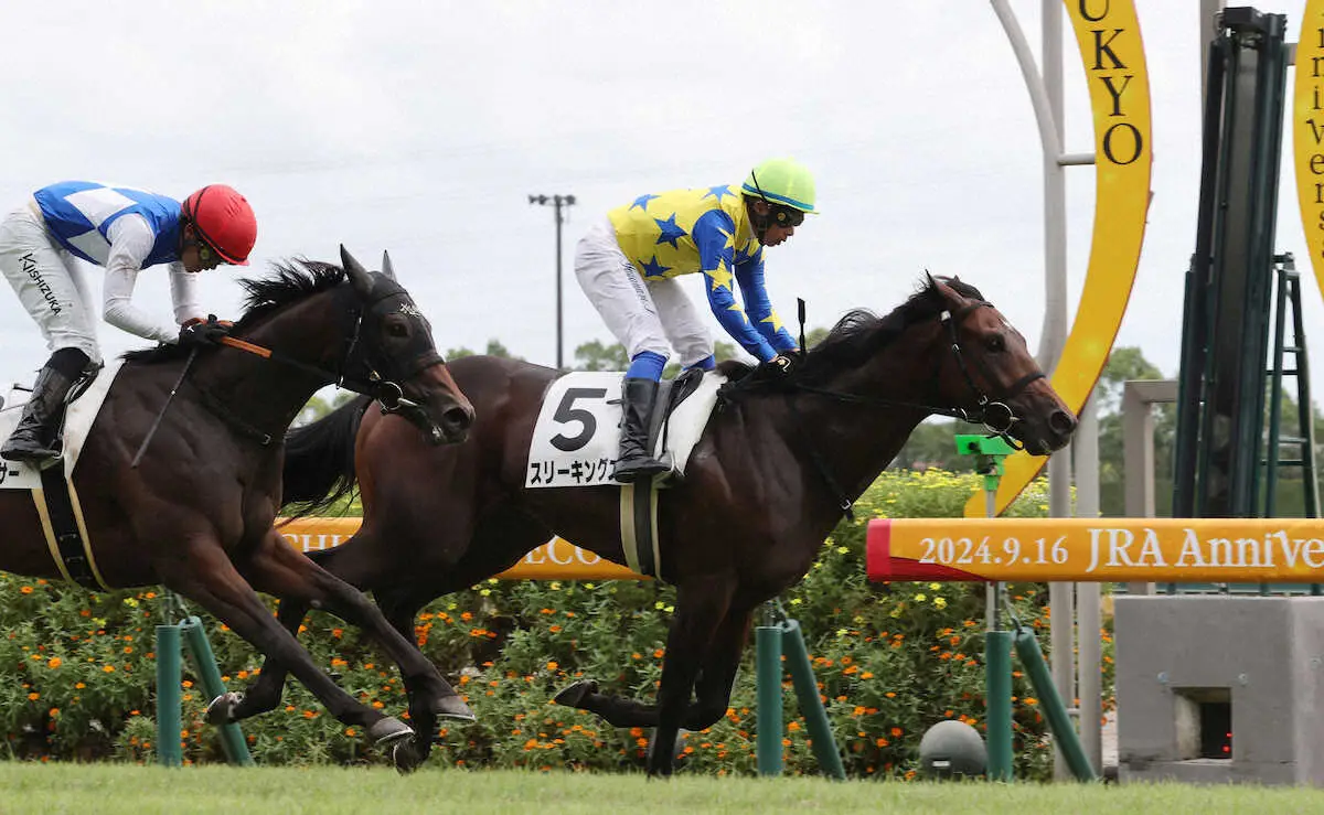 中京5Rの新馬戦制したスリーキングス　ゴール後に外ラチ沿いで落馬