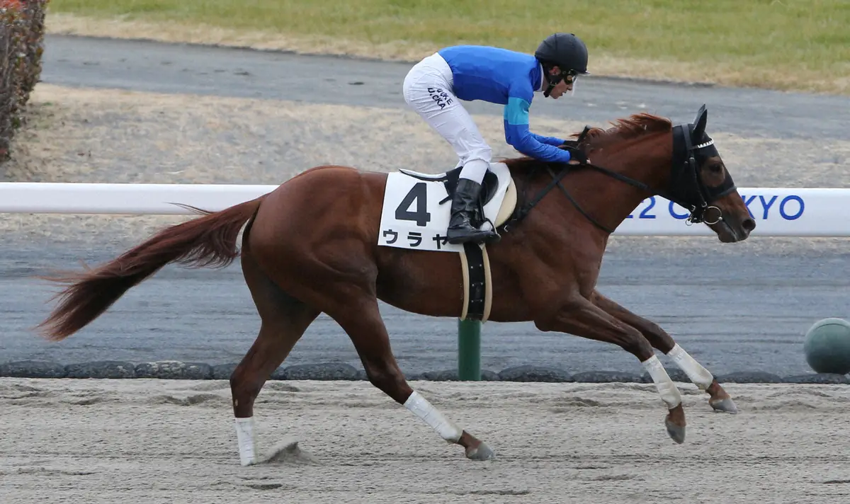 【水沢11R・青藍賞】ウラヤ3連勝で戴冠へ